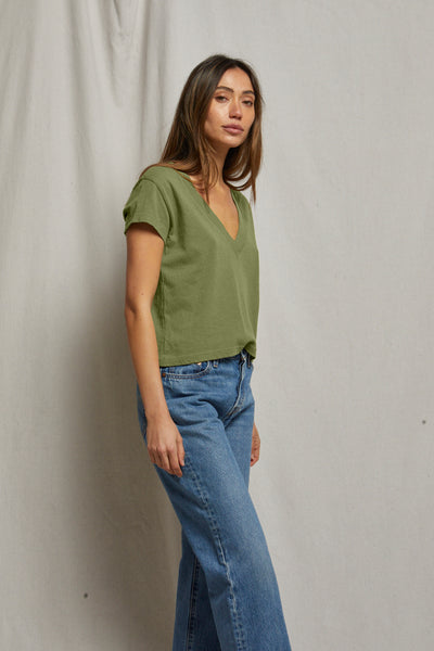 safari
