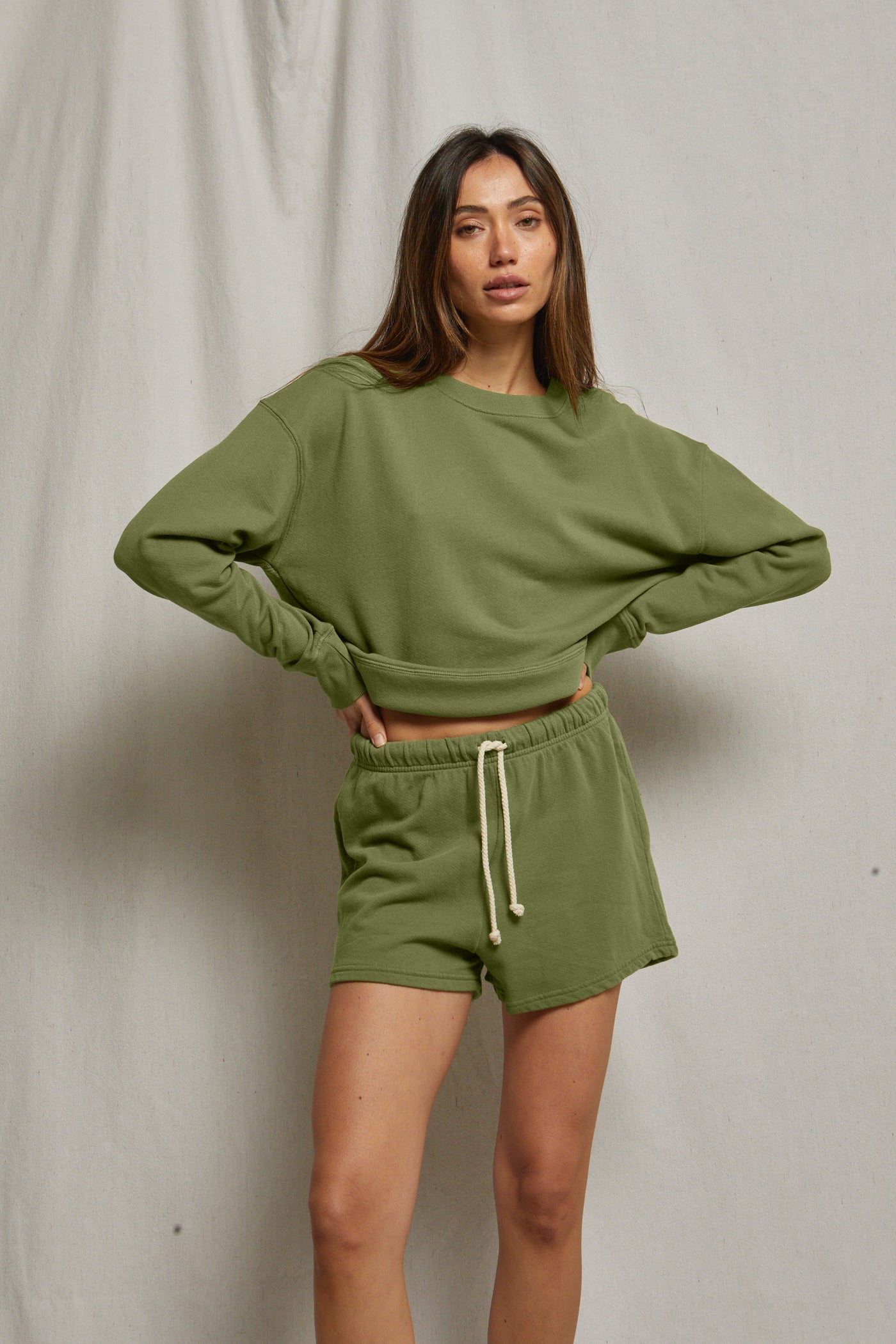safari